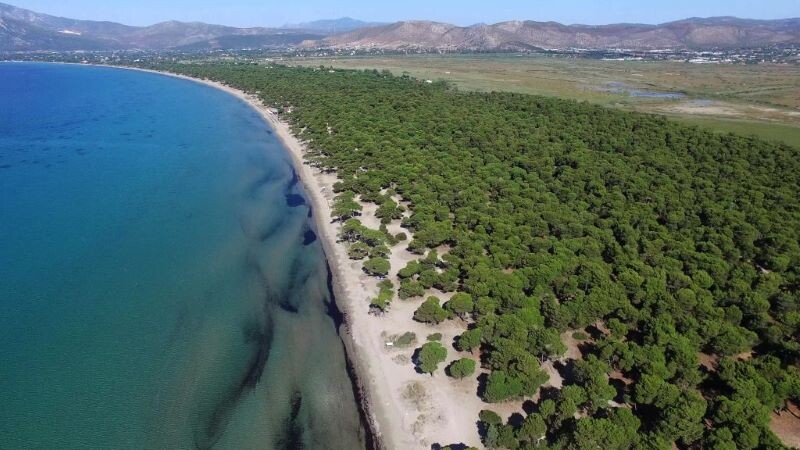 Ενημερωτική-Εκδήλωση-στο-Μουσείο-Μαραθωνίου-Δρόμου-με-θέμα-“Ζώνη-natura-2000-και-Εθνικό-Πάρκο-Σχινιά:-Προβλήματα-και-Προοπτικές”