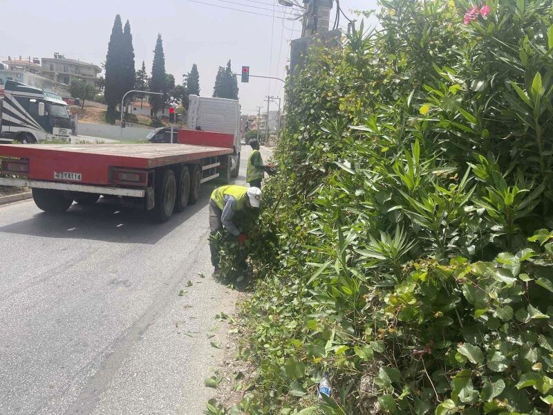 Ο-δήμος-Σπάτων-Αρτέμιδος-καθαρίζει-1100-στρέμματα-για-τη-μείωση-του-κινδύνου-πυρκαγιάς