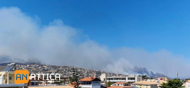 Συνελήφθη-80χρονος-για-τέσσερις-εμπρησμούς-στα-Γλυκά-Νερά-–-είχε-ανάψει-τις-εστίες-λίγο-πριν-τη-μεγάλη-φωτιά-στον-Βαρνάβα