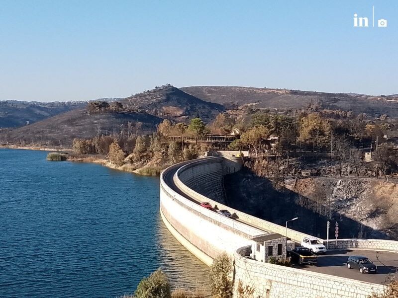 Αυτοψία-στα-καμένα-από-Βαρνάβα-έως-Βριλήσσια-και-Χαλάνδρι-(φωτο-–-βίντεο)